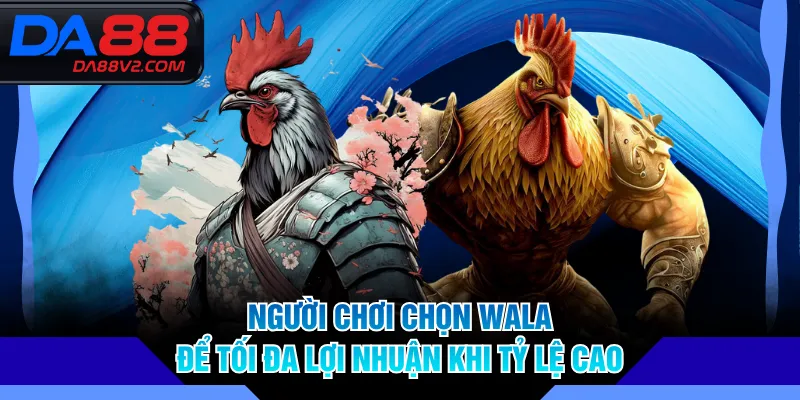 Người chơi chọn Wala để tối đa lợi nhuận khi tỷ lệ cao